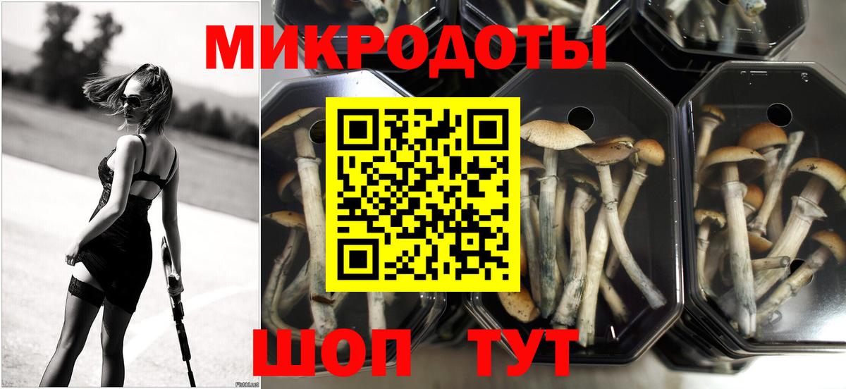 Кунгур  Псилоцибиновые грибы ЛСД  Вход с VPN 