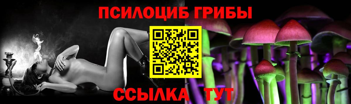 Псилоцибиновые грибы прущие грибы Кунгур